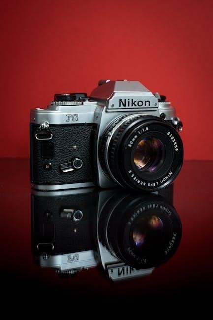 manual camara nikon d3100